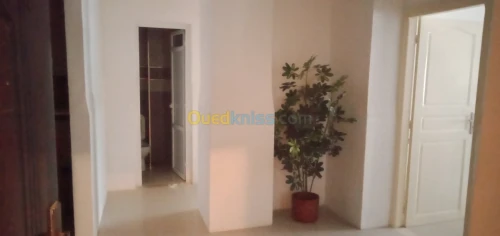 Location Appartement F4 Alger Hydra