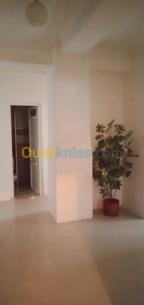 Location Appartement F4 Alger Hydra