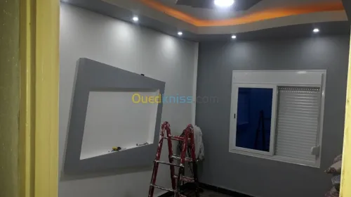 placoplatre faux plafond BA13 et PVC -