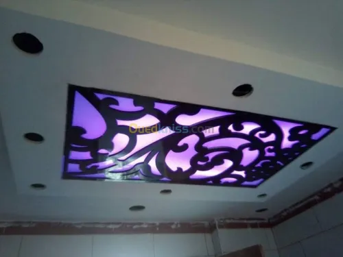 placoplatre faux plafond BA13 et PVC -