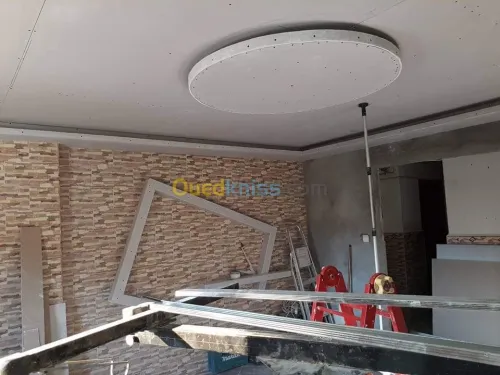 placoplatre faux plafond BA13 et PVC -
