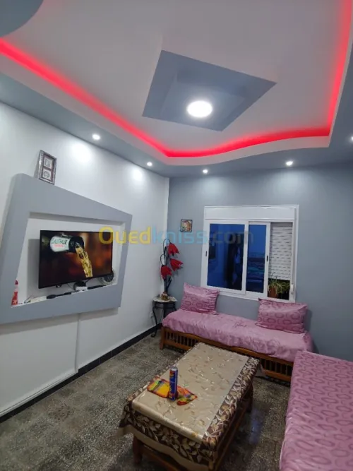 placoplatre faux plafond BA13 et PVC -