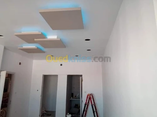 placoplatre faux plafond BA13 et PVC -
