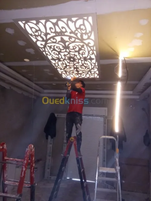 placoplatre faux plafond BA13 et PVC -