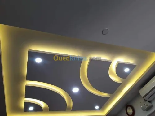 placoplatre faux plafond BA13 et PVC -