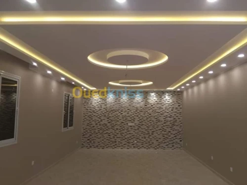 placoplatre faux plafond BA13 et PVC -