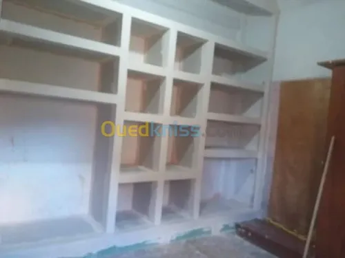 placoplatre faux plafond BA13 et PVC -