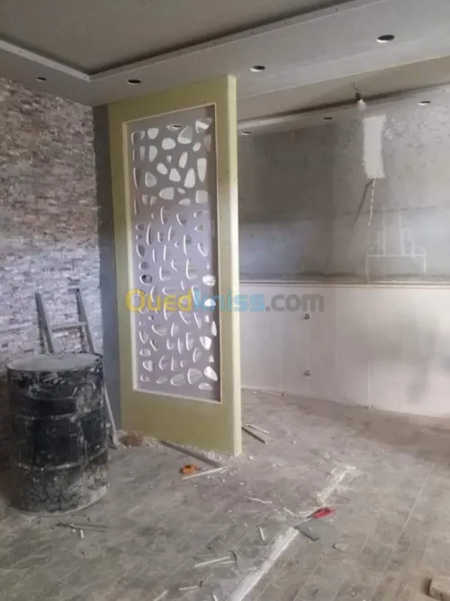 placoplatre faux plafond BA13 et PVC -