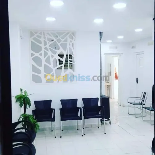 placoplatre faux plafond BA13 et PVC -