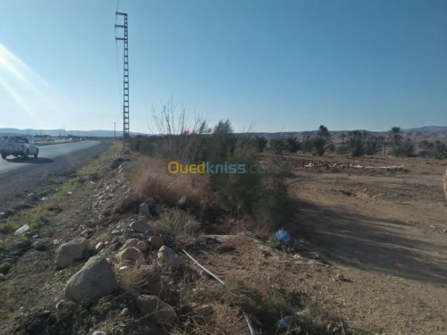 Vente Terrain Biskra El kantara