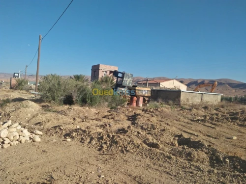Vente Terrain Biskra El kantara