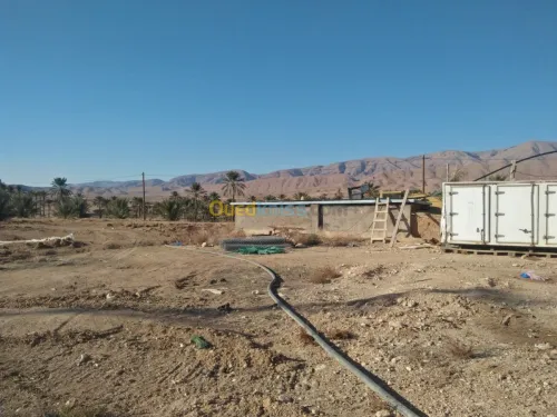 Vente Terrain Biskra El kantara