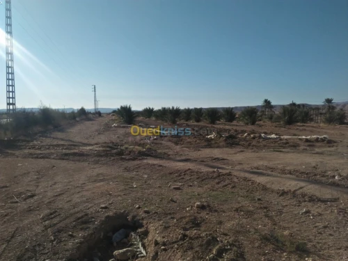 Vente Terrain Biskra El kantara
