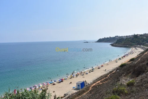 Location Studio Alger Ain taya