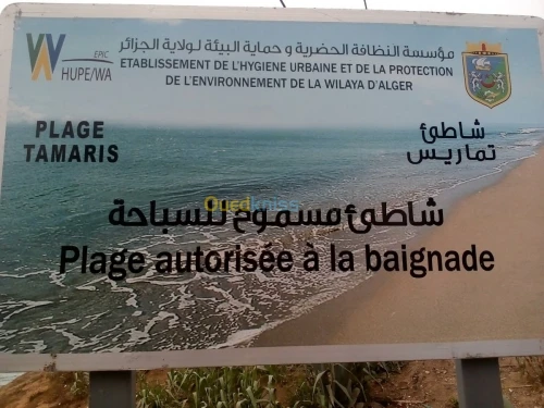 Location Studio Alger Ain taya