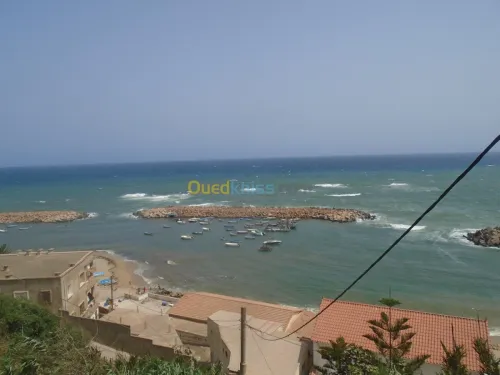 Location Studio Alger Ain taya