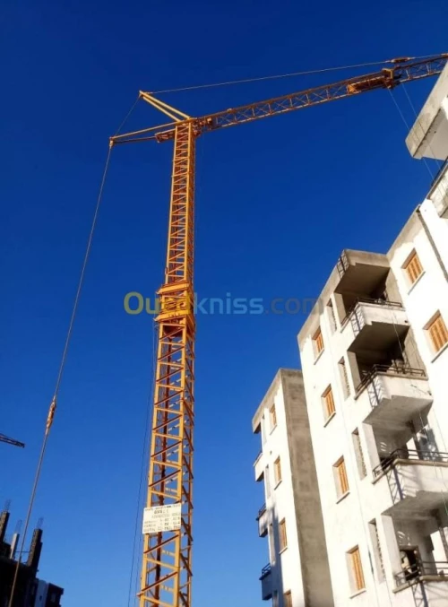 Grues 