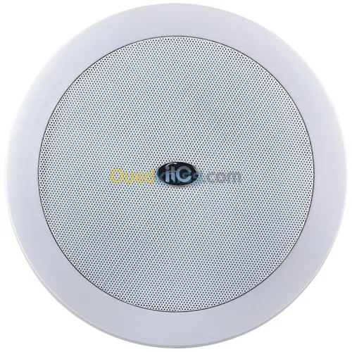HAUTS-PARLEUR PLAFOND ITC T-205B