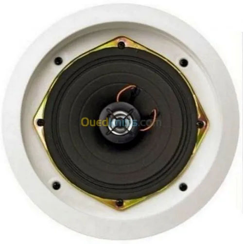 HAUTS-PARLEUR PLAFOND ITC T-205B