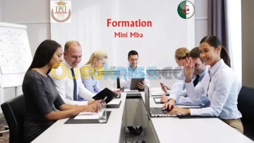Formation Mini Mba 