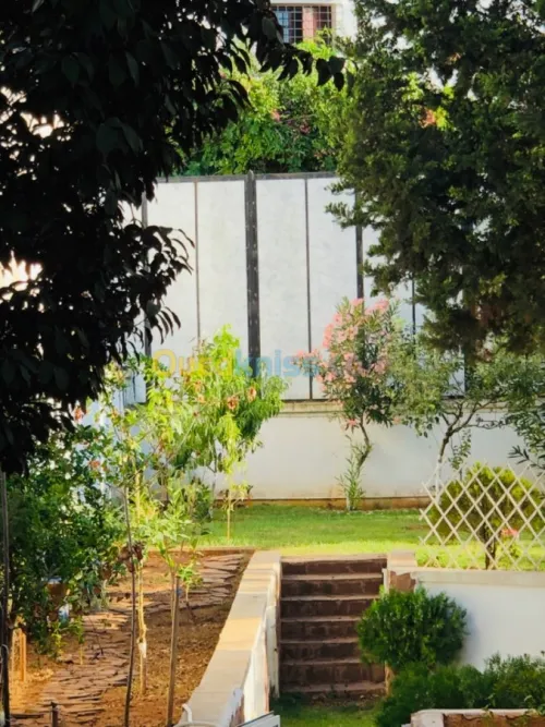 Jardinage maison 