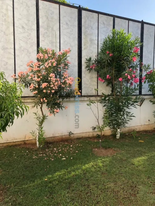 Jardinage maison 