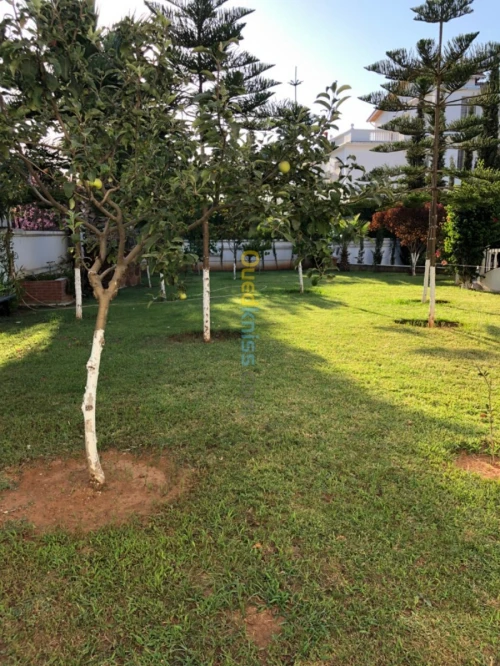 Jardinage maison 