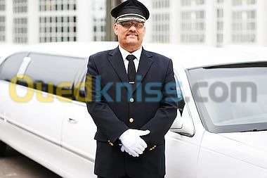 chauffeur 