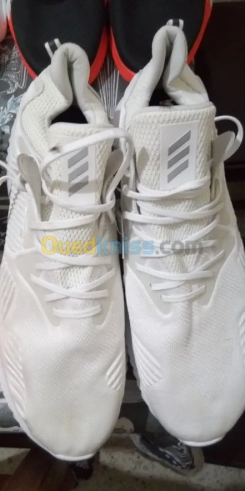 Adidas grande pointure 