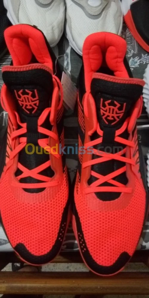 Adidas grande pointure 