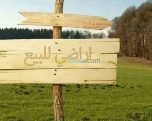 Vente Terrain Saida Saida
