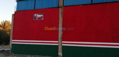Vente Usine Biskra Tolga