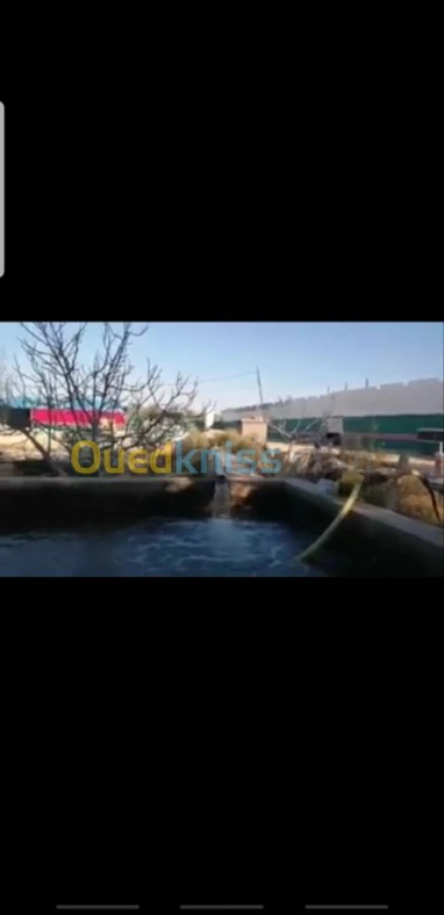 Vente Usine Biskra Tolga