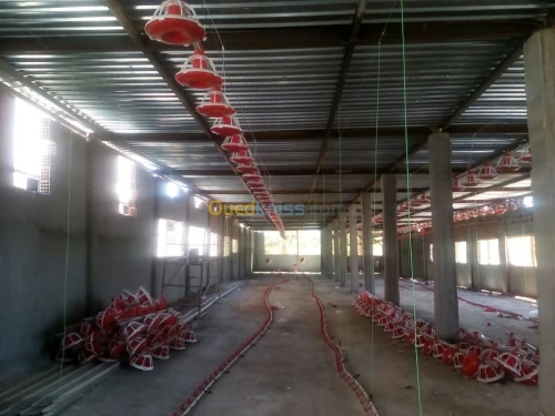 Vente Usine Biskra Tolga