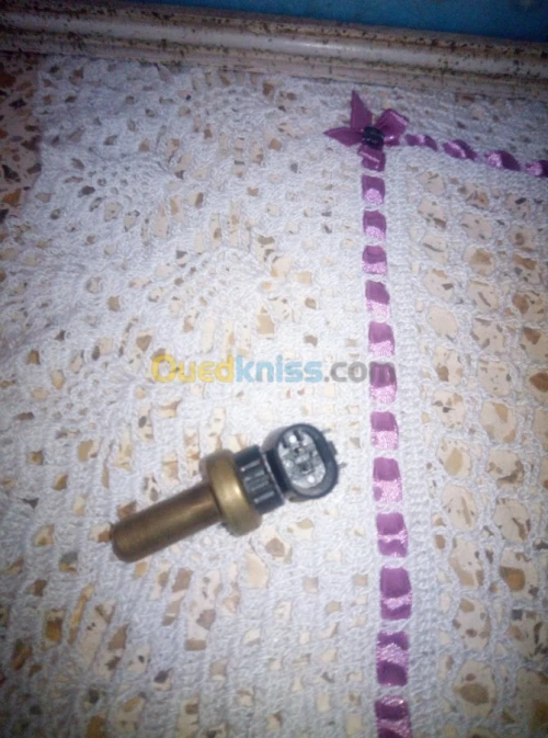Manaut thermostat