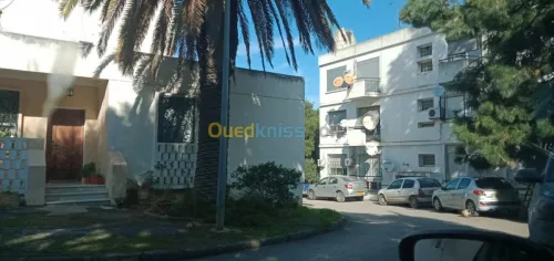 Location Studio Alger El mouradia