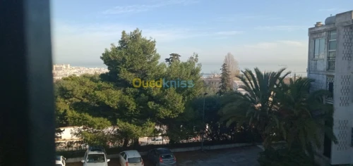 Location Studio Alger El mouradia