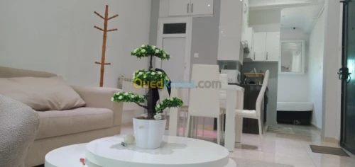 Location Studio Alger El mouradia