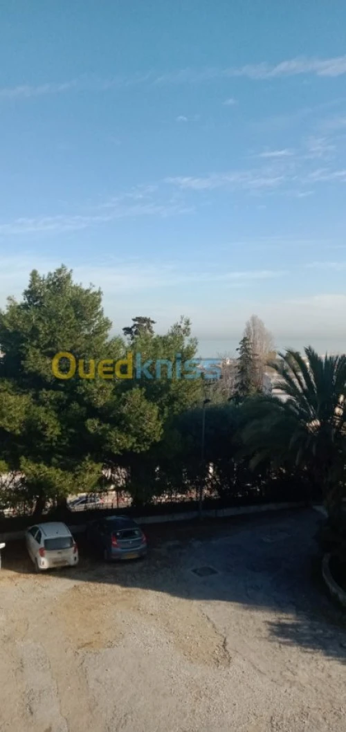 Location Studio Alger El mouradia