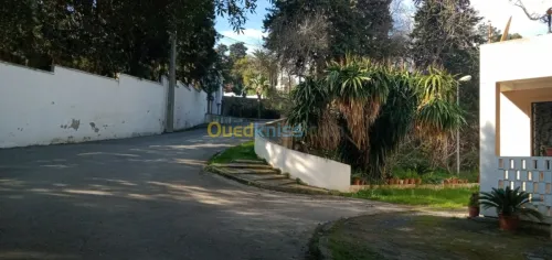 Location Studio Alger El mouradia
