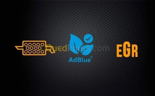 Suppression Adbleu DPF EGR DTC .