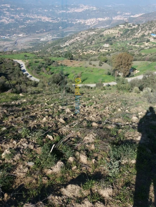 Vente Terrain Agricole Bejaia Seddouk