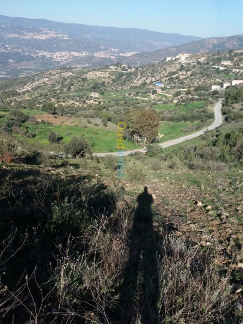 Vente Terrain Agricole Bejaia Seddouk