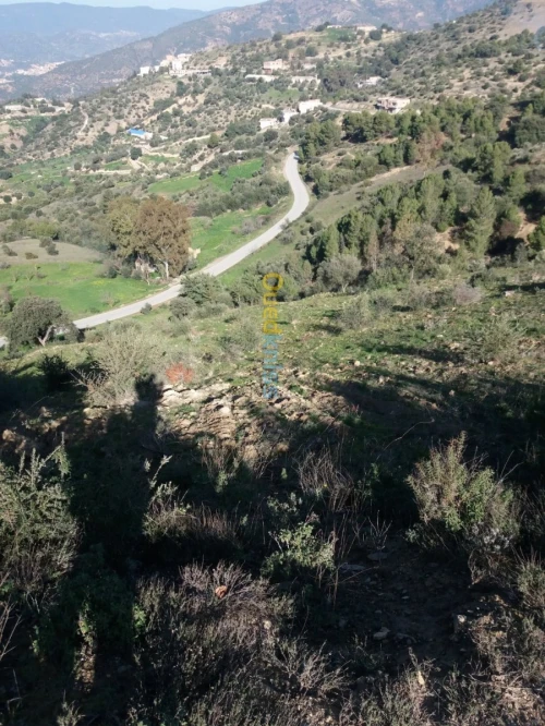 Vente Terrain Agricole Bejaia Seddouk