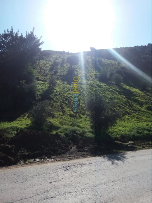 Vente Terrain Agricole Bejaia Seddouk