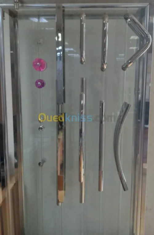 Vitrine-cabine  douche- rampe de verre