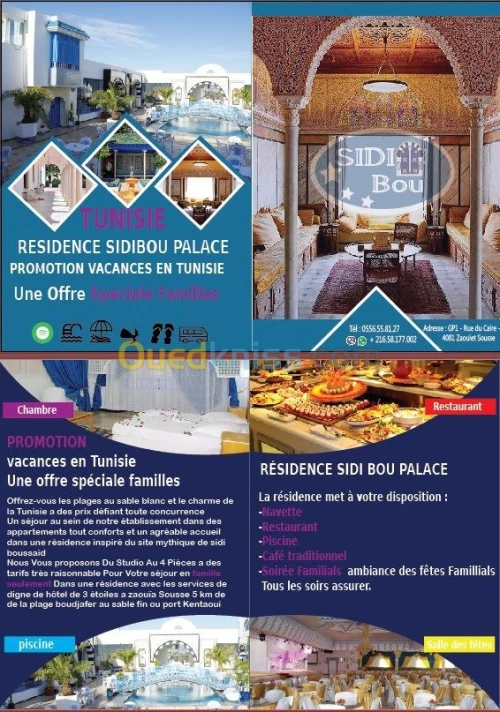 Turki design  freelancer   