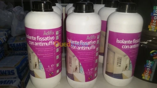 Peinture Isolante et anti-moisissure 