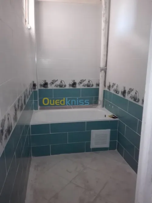 Rénovation tous types de construction.