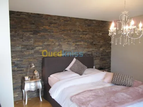 pierre décorative extérieur&intérieur